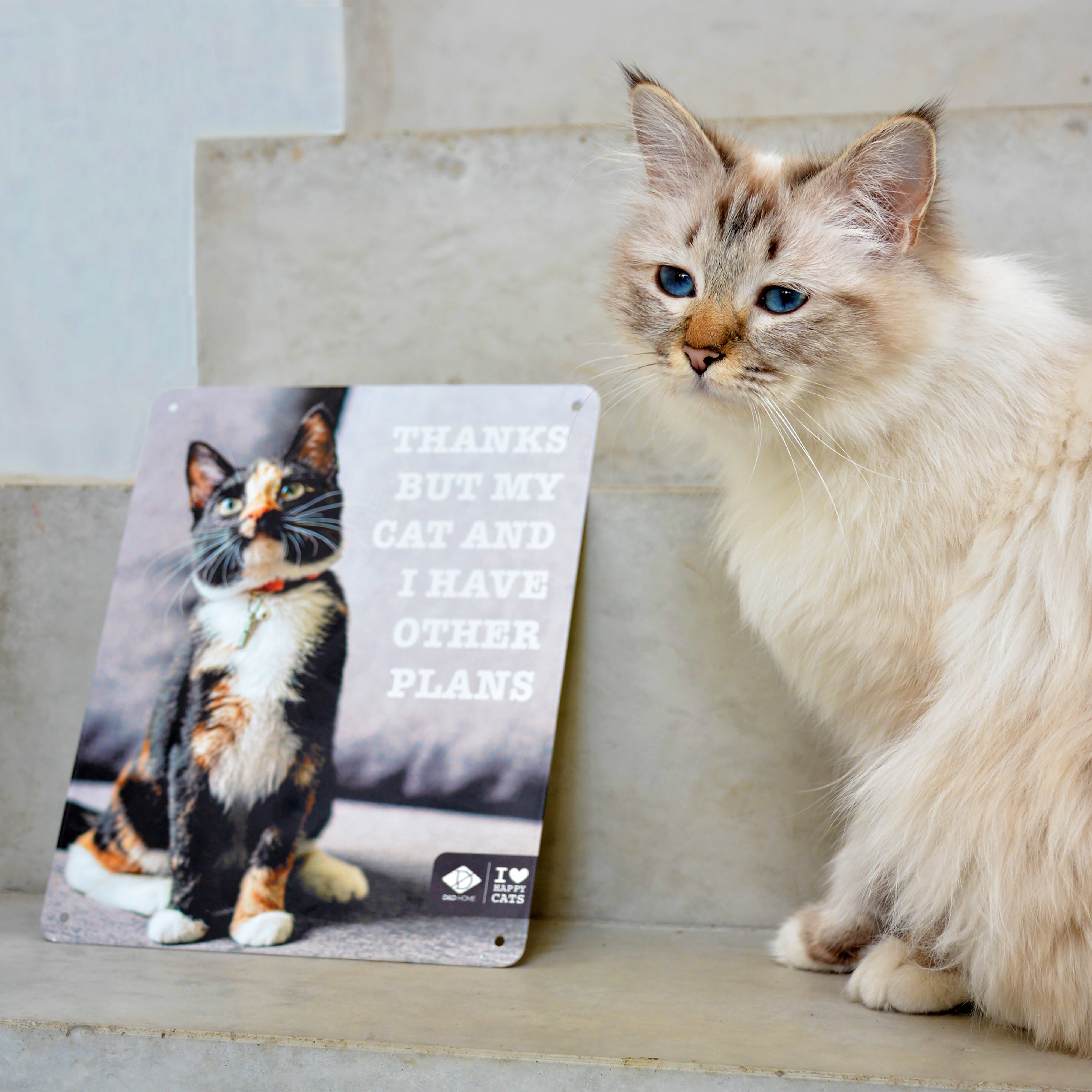I LOVE HAPPY CATS Muurbord