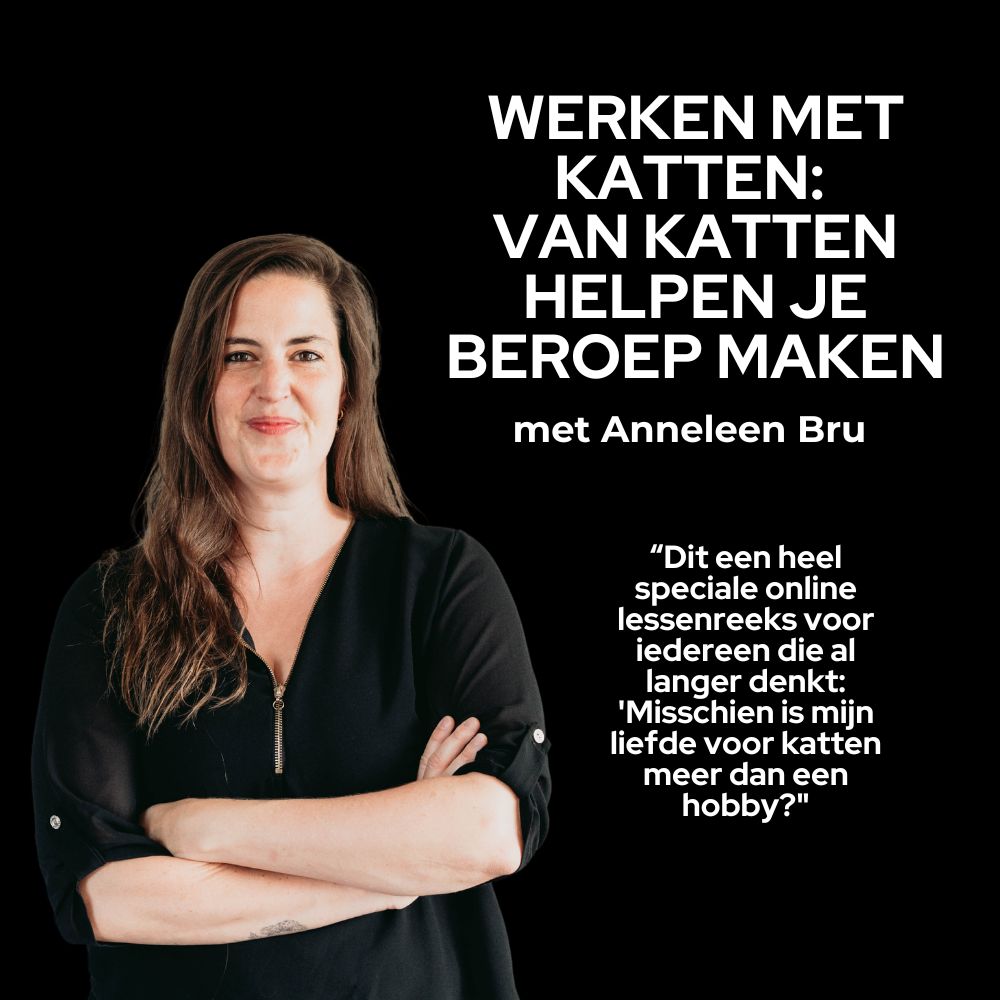 Happy Cats Business Summer School: Van katten je beroep maken