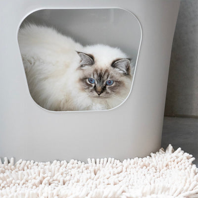 DEAN - Kattenbak