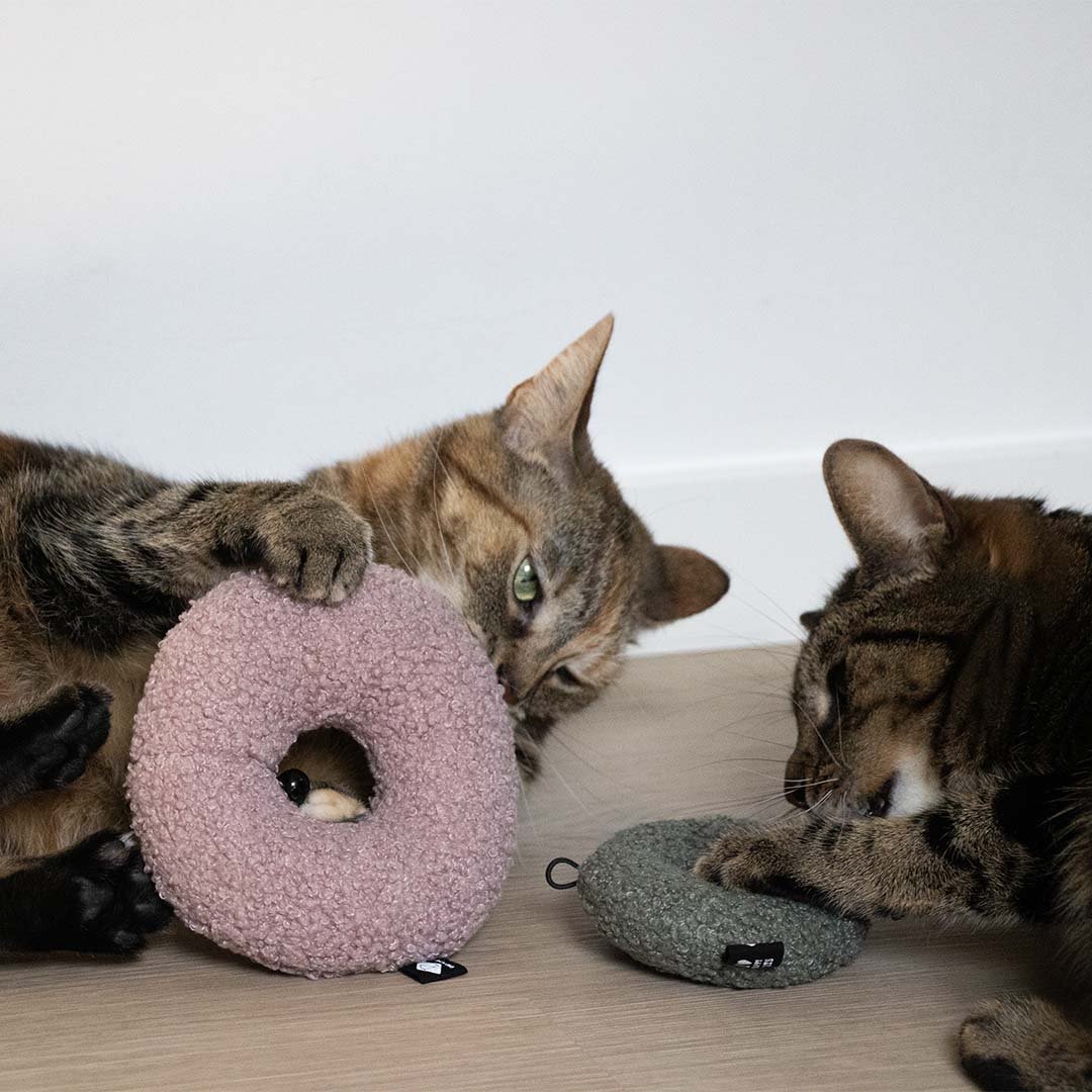 MAPLE - Kattenspeeltje